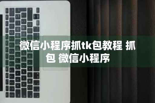 微信小程序抓tk包教程 抓包 微信小程序