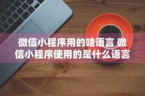 微信小程序用的啥语言 微信小程序使用的是什么语言