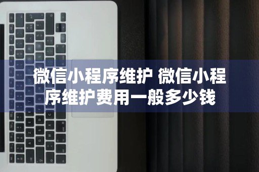 微信小程序维护 微信小程序维护费用一般多少钱