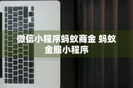 微信小程序蚂蚁商金 蚂蚁金服小程序