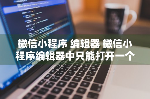 微信小程序 编辑器 微信小程序编辑器中只能打开一个文件