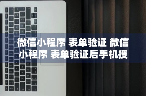 微信小程序 表单验证 微信小程序 表单验证后手机授权