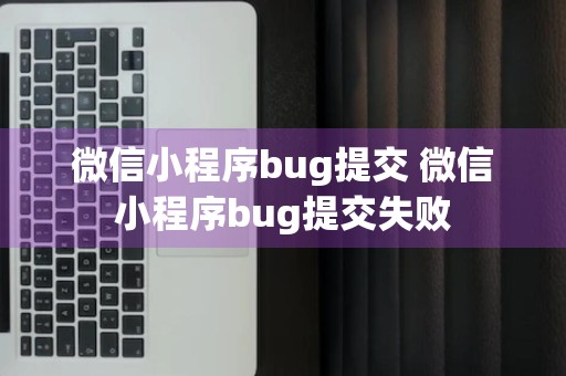 微信小程序bug提交 微信小程序bug提交失败