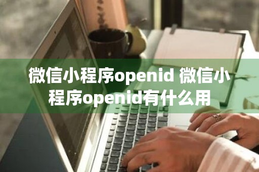 微信小程序openid 微信小程序openid有什么用