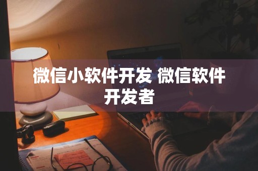 微信小软件开发 微信软件开发者