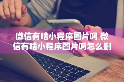 微信有啥小程序图片吗 微信有啥小程序图片吗怎么删除