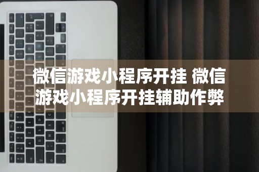 微信游戏小程序开挂 微信游戏小程序开挂辅助作弊