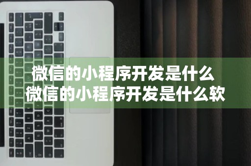 微信的小程序开发是什么 微信的小程序开发是什么软件