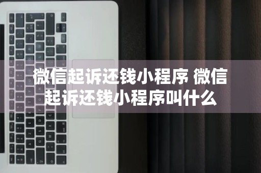 微信起诉还钱小程序 微信起诉还钱小程序叫什么