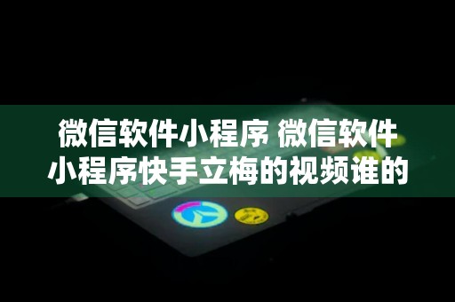 微信软件小程序 微信软件小程序快手立梅的视频谁的一辈子