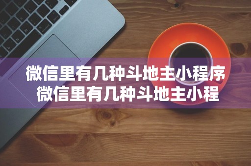 微信里有几种斗地主小程序 微信里有几种斗地主小程序的