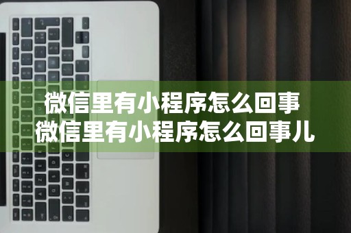 微信里有小程序怎么回事 微信里有小程序怎么回事儿