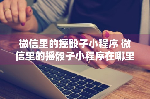 微信里的摇骰子小程序 微信里的摇骰子小程序在哪里