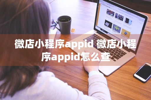 微店小程序appid 微店小程序appid怎么查