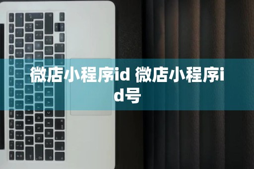 微店小程序id 微店小程序id号