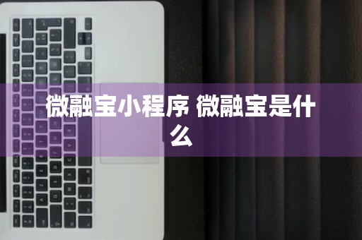 微融宝小程序 微融宝是什么