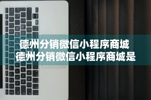 德州分销微信小程序商城 德州分销微信小程序商城是什么