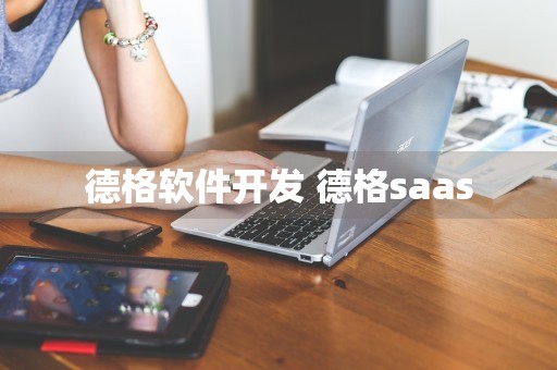 德格软件开发 德格saas