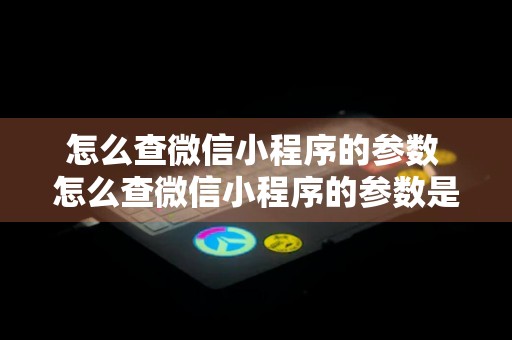 怎么查微信小程序的参数 怎么查微信小程序的参数是多少