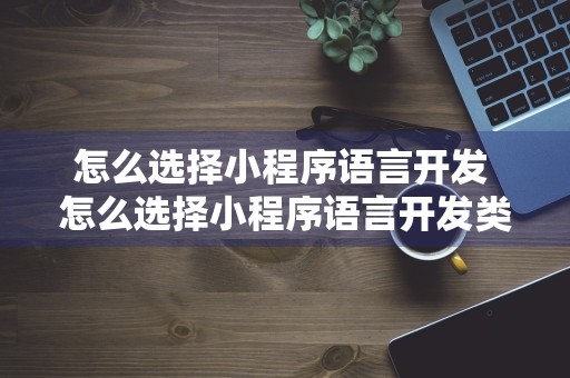 怎么选择小程序语言开发 怎么选择小程序语言开发类型