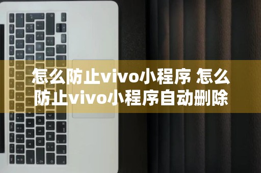 怎么防止vivo小程序 怎么防止vivo小程序自动删除