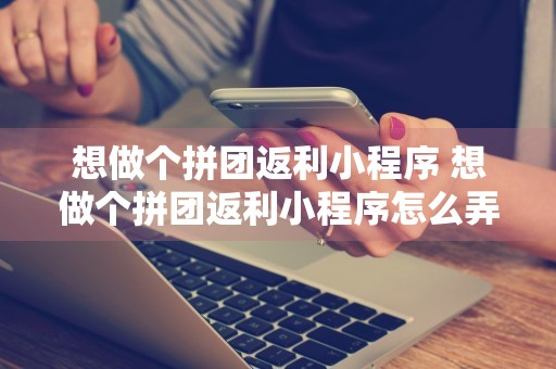 想做个拼团返利小程序 想做个拼团返利小程序怎么弄