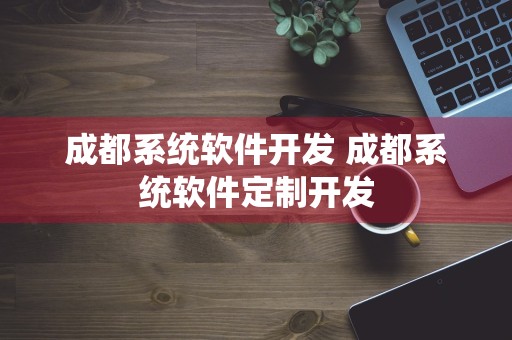 成都系统软件开发 成都系统软件定制开发