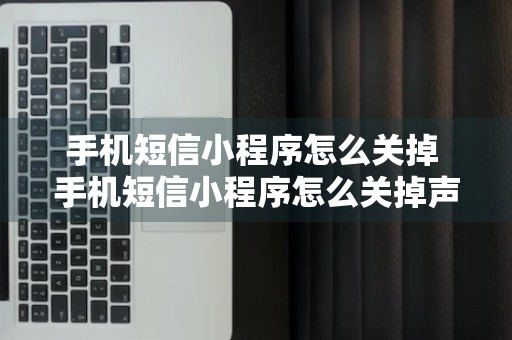 手机短信小程序怎么关掉 手机短信小程序怎么关掉声音