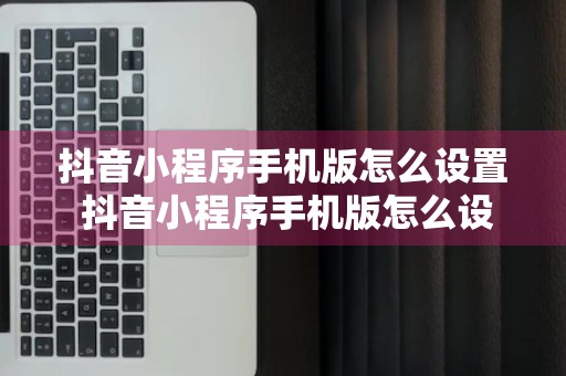 抖音小程序手机版怎么设置 抖音小程序手机版怎么设置自动播放