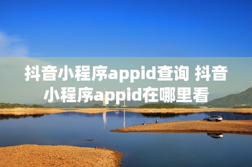 抖音小程序appid查询 抖音小程序appid在哪里看