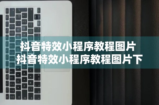 抖音特效小程序教程图片 抖音特效小程序教程图片下载