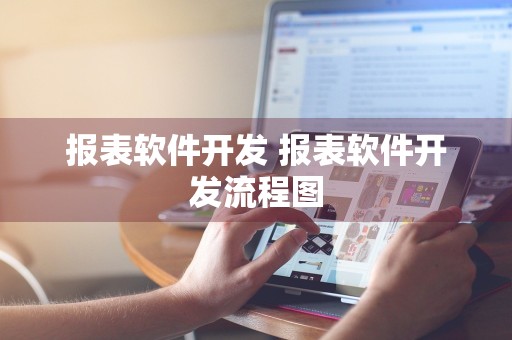 报表软件开发 报表软件开发流程图