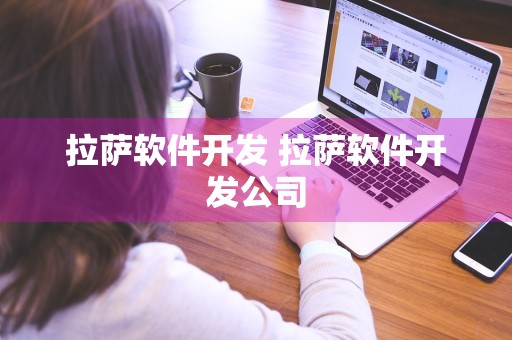 拉萨软件开发 拉萨软件开发公司