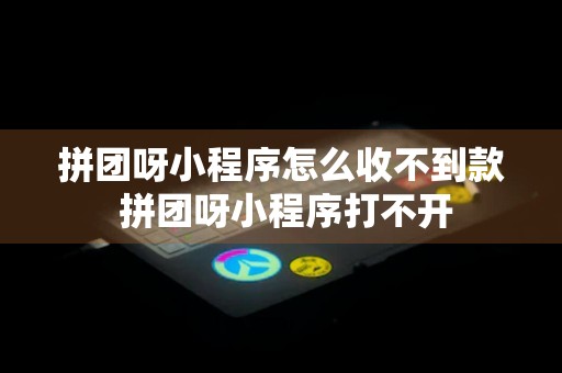 拼团呀小程序怎么收不到款 拼团呀小程序打不开