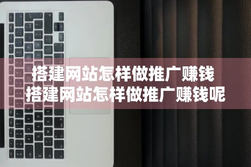 搭建网站怎样做推广赚钱 搭建网站怎样做推广赚钱呢