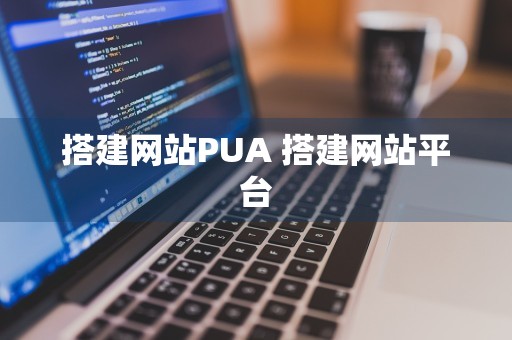 搭建网站PUA 搭建网站平台