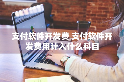 支付软件开发费 支付软件开发费用计入什么科目