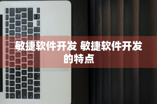 敏捷软件开发 敏捷软件开发的特点