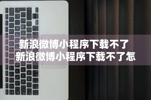 新浪微博小程序下载不了 新浪微博小程序下载不了怎么办