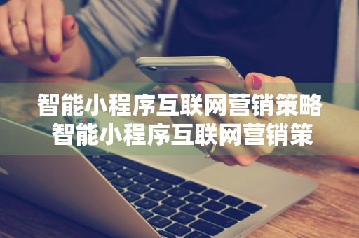 智能小程序互联网营销策略 智能小程序互联网营销策略研究