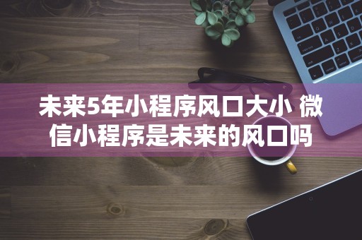 未来5年小程序风口大小 微信小程序是未来的风口吗