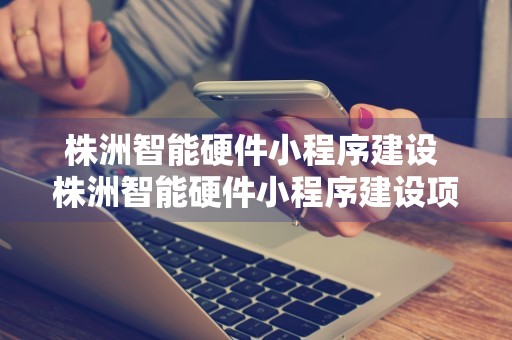 株洲智能硬件小程序建设 株洲智能硬件小程序建设项目