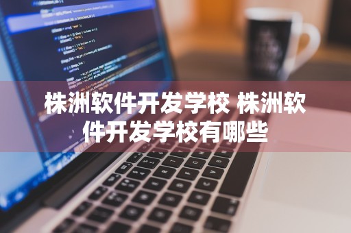 株洲软件开发学校 株洲软件开发学校有哪些