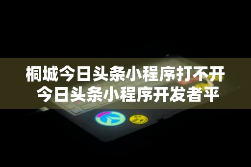 桐城今日头条小程序打不开 今日头条小程序开发者平台