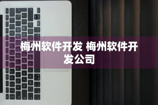 梅州软件开发 梅州软件开发公司