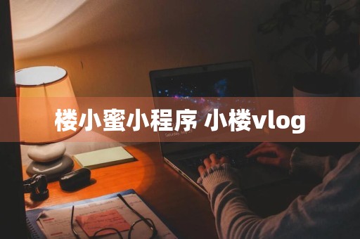 楼小蜜小程序 小楼vlog