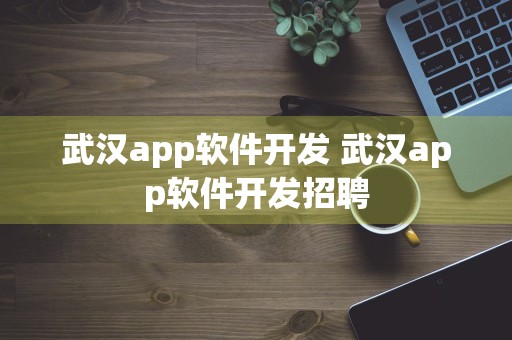 武汉app软件开发 武汉app软件开发招聘