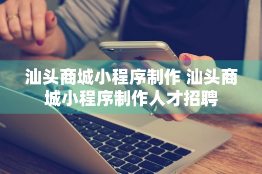 汕头商城小程序制作 汕头商城小程序制作人才招聘