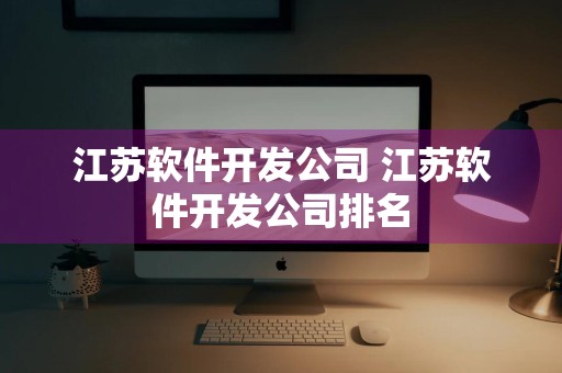 江苏软件开发公司 江苏软件开发公司排名