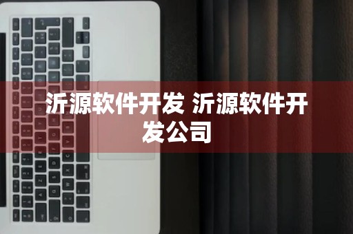 沂源软件开发 沂源软件开发公司